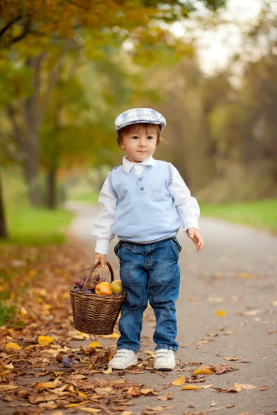 Menino em um parque com folhas e cesta de frutas — Fotografia de Stock