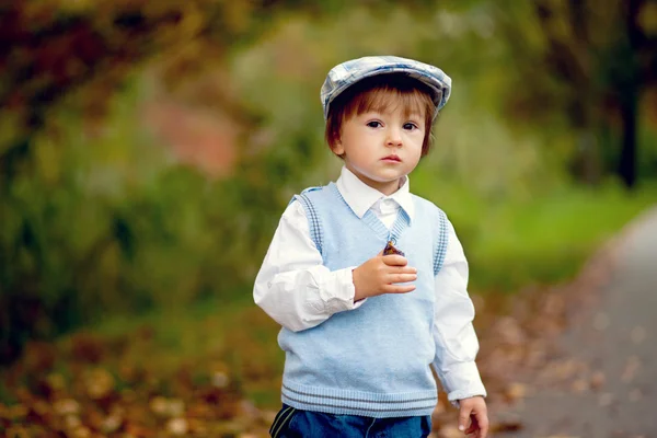 Niño en un parque con hojas y cesta de frutas — Foto de Stock
