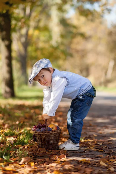 Мальчик в парке с листьями и корзиной фруктов — стоковое фото
