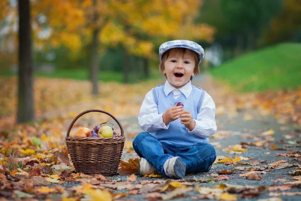 Menino em um parque com folhas e cesta de frutas — Fotografia de Stock