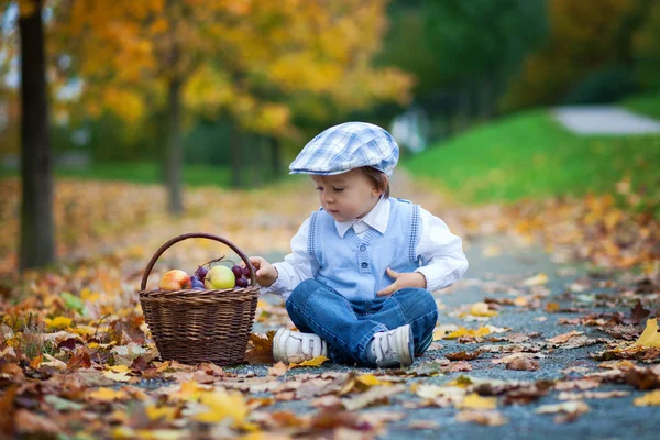 Garçon dans un parc avec des feuilles et panier de fruits — Photo