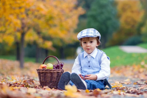 Jongen in een park met bladeren en mand met fruit — Stockfoto