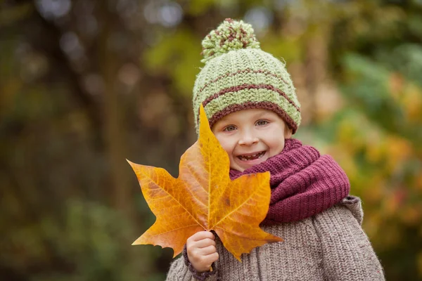 Portrait d'automne d'un garçon avec chapeau et grande feuille — Photo