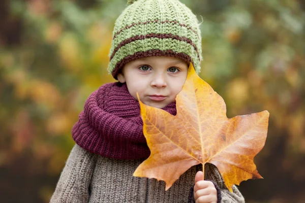 Herfst portret van een jongen met hoed en grote blad — Stockfoto