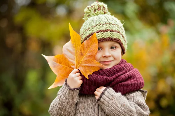 Herbstporträt eines Jungen mit Hut und großem Blatt — Stockfoto