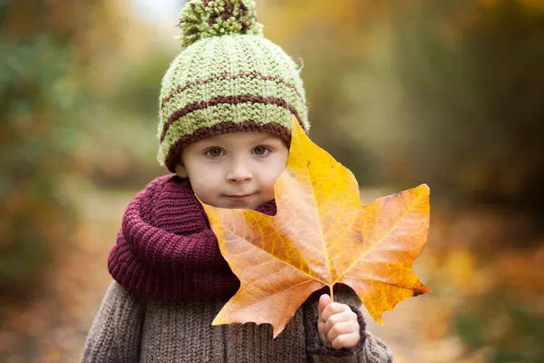 Retrato de otoño de un niño con sombrero y hoja grande — Foto de Stock