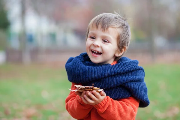 Autumn portrait of boy — Stock Photo, Image