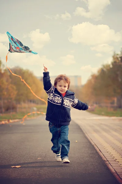 Menino com papagaio — Fotografia de Stock