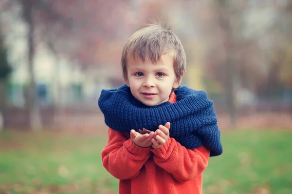 Herfst portret van jongen — Stockfoto