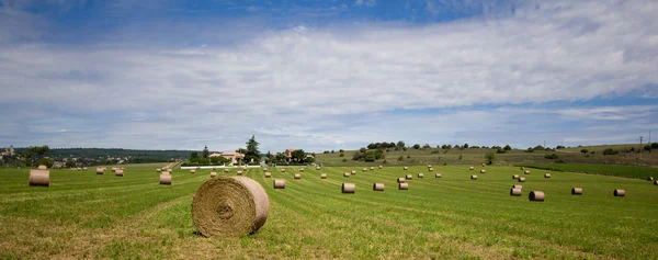 Sommaren landsbygdens landskap med ett fält och höstackar — Stockfoto