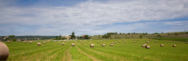 Yaz kırsal peyzaj alanı ve haystacks ile — Stok fotoğraf