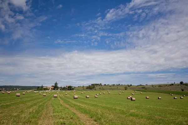 Καλοκαίρι αγροτικό τοπίο με ένα πεδίο και Θημωνιές — Φωτογραφία Αρχείου