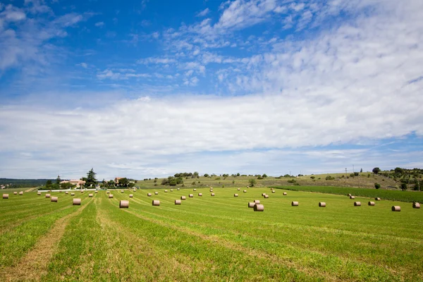 Summer rural landscape with a field and haystacks — Stock Photo, Image