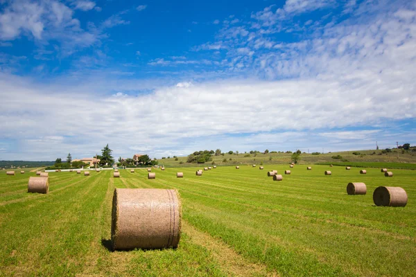 Paesaggio rurale estivo con un campo e pagliai — Foto Stock