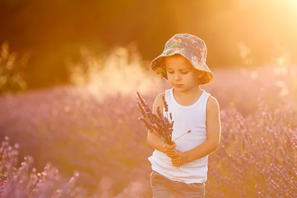 Garoto bonito adorável com um chapéu em um campo de lavanda — Fotografia de Stock