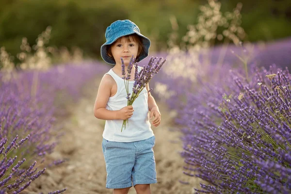 Lavanta alan bir şapka ile sevimli sevimli çocuk — Stok fotoğraf