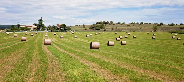 Летний сельский пейзаж с полем и стогами сена — стоковое фото