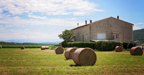 Paisaje rural de verano con un campo y pajar — Foto de Stock