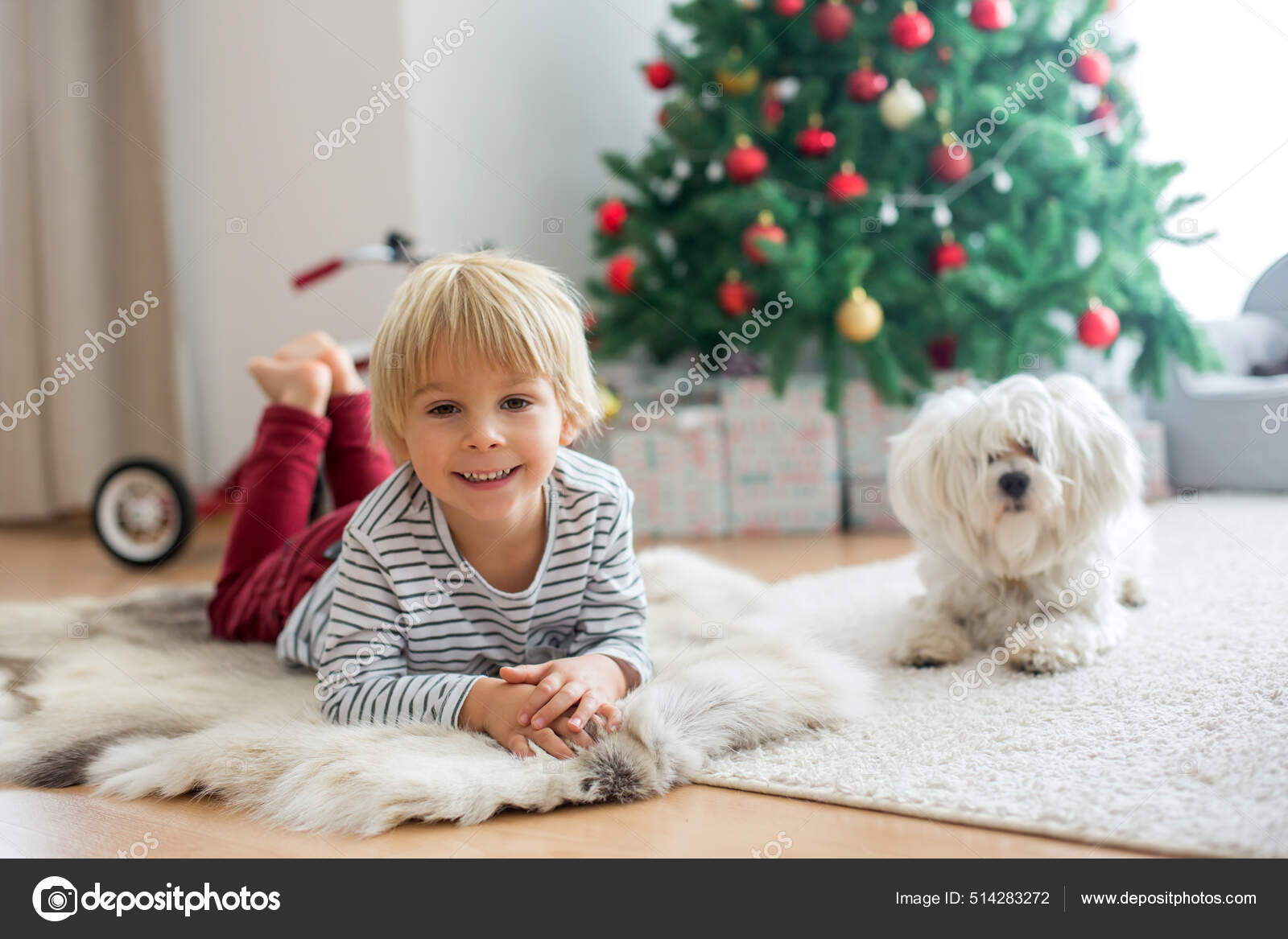 Beautiful Toddler Child Sitting Pet Dog Front Christmas Tree