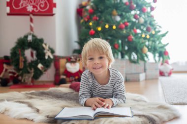 Güzel çocuk, Noel ağacının önünde evcil köpekle kitap okuyor, süslüyor ve etrafında hediyeler sunuyor.