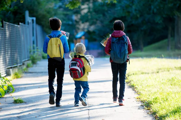 Happy Children Going School Morning First Day Caring Bouquet Flowers — Stock Photo, Image