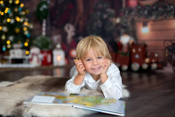 漂亮的幼儿 圣诞时读关于舒适的驯鹿毛皮的书 在他身边装饰 — 图库照片