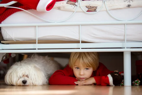小さな幼児の子供は 彼のペットの犬 悪意のある白い子犬 悪夢のモンスターから怖がってベッドの下に隠れて — ストック写真