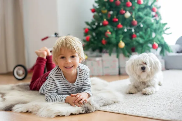 美しい幼児の子供 クリスマスツリーの前にペット犬と座って 装飾し 彼の周りに提示します — ストック写真