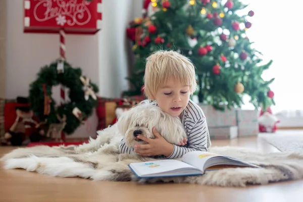 美しい幼児の子供 クリスマスツリーの前でペット犬と本を読んで 装飾し 彼の周りに提示します — ストック写真