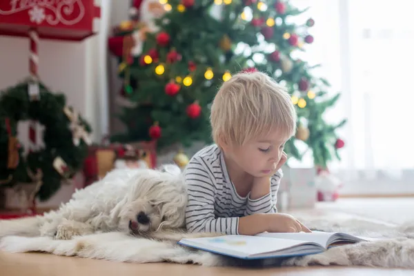 Hermoso Niño Pequeño Libro Lectura Con Perro Mascota Delante Del —  Fotos de Stock
