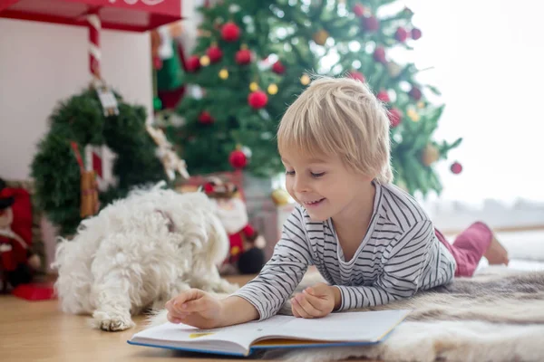 漂亮的幼儿 带着宠物狗在圣诞树前看书 装饰和礼物在他身边 — 图库照片