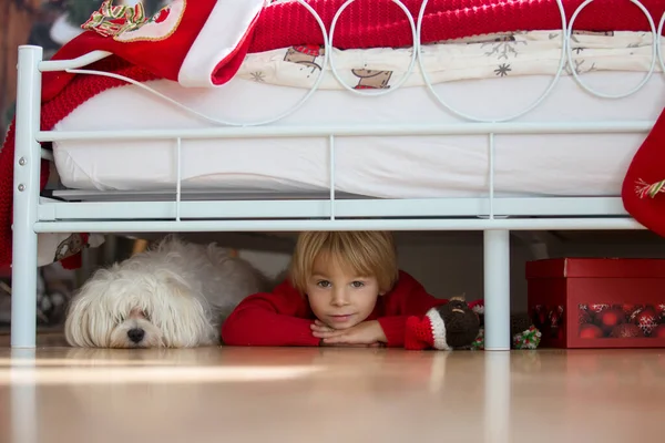 Bambino Bambino Piccolo Nascosto Sotto Letto Con Suo Cane Compagnia — Foto Stock