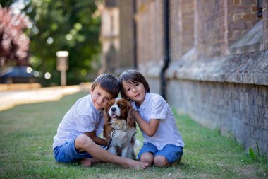 Beaugtiful okul öncesi çocuklar parkta, tatlı köpek ile oynarken, yaz