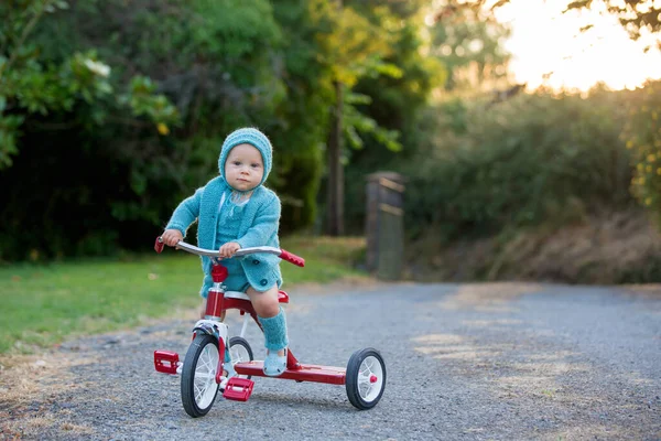 Lindo Niño Pequeño Niño Jugando Con Triciclo Patio Trasero Niño — Foto de Stock