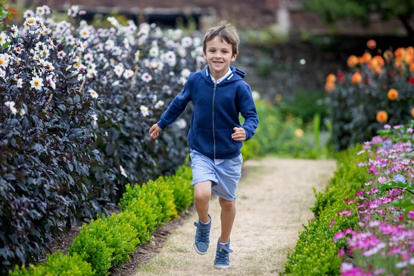 Vackra Barn Fantastisk Blomma Trädgård Summertime — Stockfoto