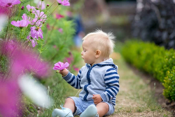Ребенок Удивительном Цветнике Лето — стоковое фото