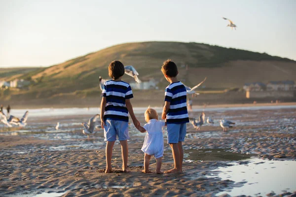 Bambini Bellissimi Fratelli Maschi Guardare Nutrire Gabbiani Sulla Spiaggia Tramonto — Foto Stock