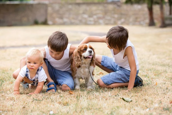 Beaugtiful Παιδιά Προσχολικής Ηλικίας Παίζοντας Γλυκό Σκυλί Στο Πάρκο Καλοκαίρι — Φωτογραφία Αρχείου