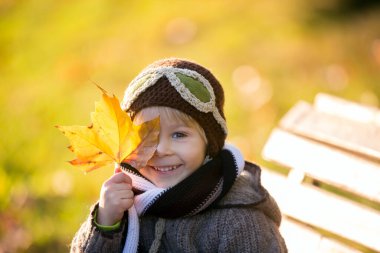 Küçük çocuk, oğlum, sonbahar parkında günbatımında uçakla oynuyor ve oyuncak ayı örüyor.
