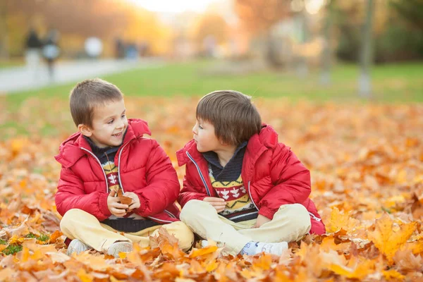 Zwei Kinder Junge Brüder Spielen Mit Blättern Herbstpark Sonniger Nachmittag — Stockfoto