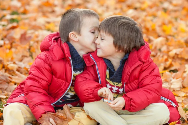 两个孩子 男孩兄弟 玩树叶在秋天的公园里 阳光明媚的下午 — 图库照片