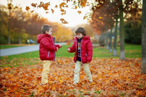 Dos Niños Hermanos Jugando Con Hojas Parque Otoño Tarde Soleada — Foto de Stock