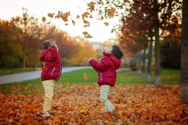 Çocuk Erkek Kardeşler Sonbahar Park Yaprakları Ile Oynarken Güneşli Öğleden — Stok fotoğraf