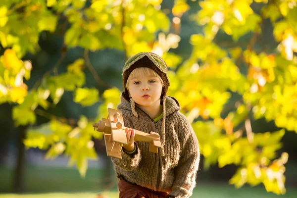 Μικρό Παιδί Αγόρι Παίζει Αεροπλάνο Και Πλεκτό Αρκουδάκι Στο Πάρκο — Φωτογραφία Αρχείου