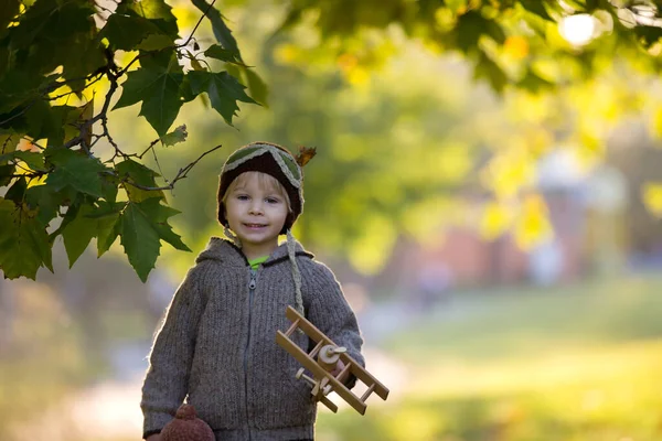 Μικρό Παιδί Αγόρι Παίζει Αεροπλάνο Και Πλεκτό Αρκουδάκι Στο Πάρκο — Φωτογραφία Αρχείου