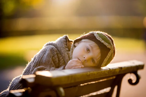 Малыш Мальчик Играет Самолетом Вязаным Плюшевым Мишкой Осеннем Парке Закате — стоковое фото