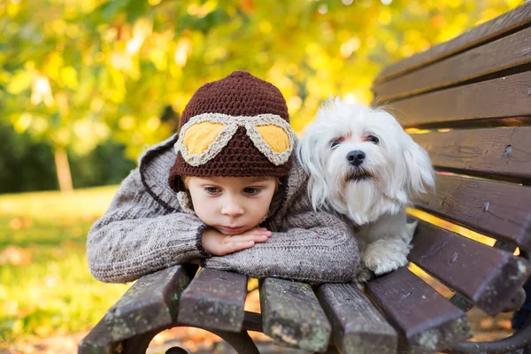 Счастливый Ребенок Играющий Осеннем Парке Своей Собакой Мальтийским Белым Щенком — стоковое фото