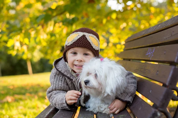 Niño Feliz Jugando Parque Otoño Con Perro Mascota Cachorro Blanco —  Fotos de Stock
