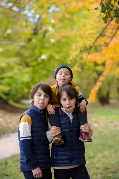 快乐的家庭 有趣的孩子 在公园里拍了他们的秋季照片 孩子们在玩耍 — 图库照片