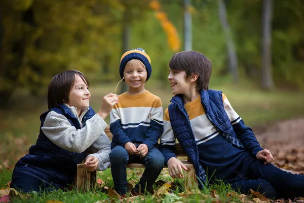 Família Feliz Crianças Engraçadas Tendo Suas Fotos Outono Tiradas Parque — Fotografia de Stock